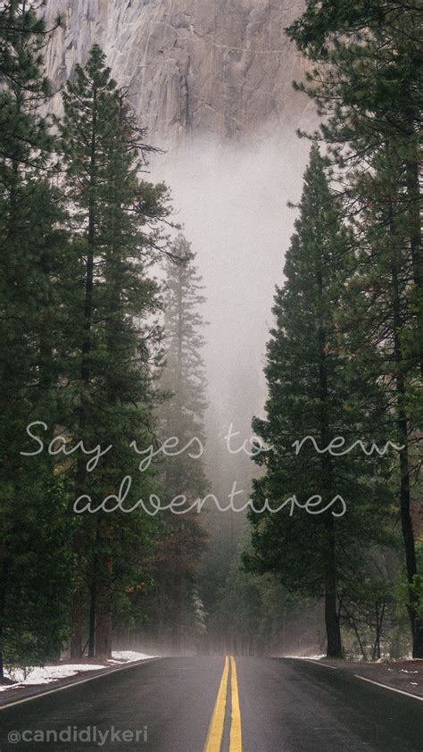 say yes to new adventures forest fog wallpaper you can download for free on the blog for any