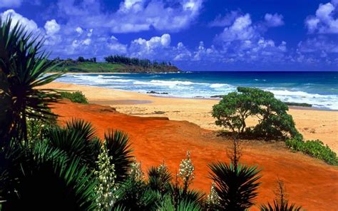 hd beautiful kealia beach kauai hawaii wallpaper download free 52378