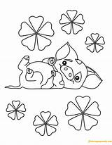 Pua Pig Moana Pages Coloring Color Cartoons Printable Coloringpagesonly sketch template