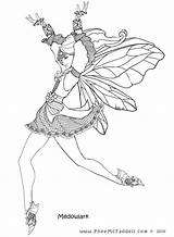 Coloring Fairy Pages Pheemcfaddell Meadowlark Fairies Adult Color Adults Sheets sketch template