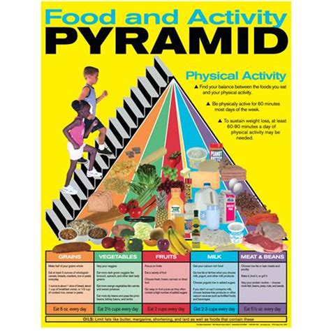 food  activity pyramid poster ojcommerce