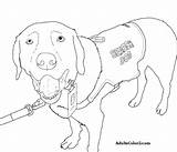 Coloring Dog Pages Rescue Search Service Dogs Working Fbi Colouring Bloodhound Jake Color Getcolorings Crucial Printable Getdrawings Tracing Colorings sketch template