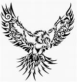 Eagle Tribal Tattoo Flying Stencils Tattoos Stencil Eagles Drawing Designs Phoenix Wings Clipart Philadelphia Polish Phönix Printable Print Girl Fire sketch template