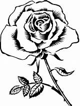 Rose Drawing Flowers Flower Clipart Coloring Pages Library Roses Kids sketch template