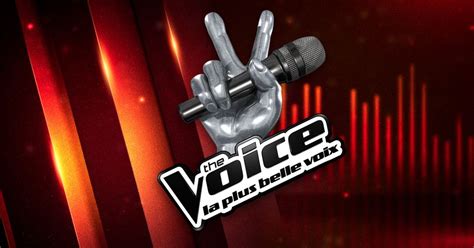 voice  troisiemes auditions  laveugle sur tf replay  mars terrafemina