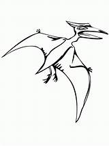 Pteranodon Coloring Flying Reptile Pages Dinosaurs Drawing Print Popular Getdrawings Clipartmag Getcolorings Library Clipart Utilising Button Sketch Coloringhome Outline sketch template