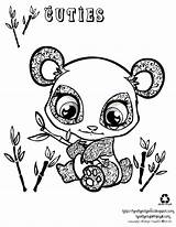 Panda Coloring Pages Cute Bear Baby Animal Pandas Getcoloringpages Bears Print sketch template