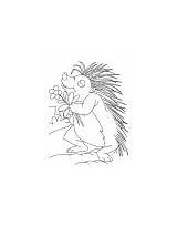 Porcupine Coloring Pages Loving Flower sketch template
