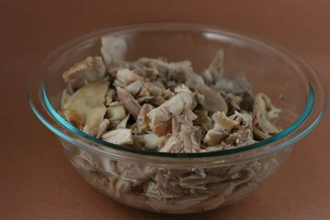 slow cooker shredded chicken  year  slow cooking