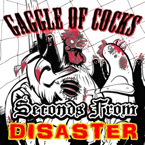 seconds from disaster gaggle of cocks indiepulse music