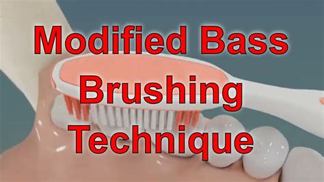 tooth brushing oral hygiene modifies bass method brushing technique youtube