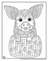 Coloring Hard Cute Pig Pages Difficult Adults Kids Animal Print Teens sketch template