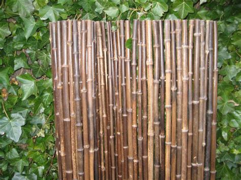 bamboe rolscherm black mm houthandel bos amersfoort