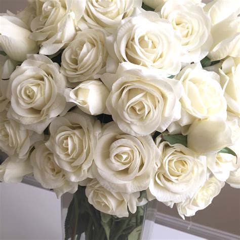photo white flowers beautiful fresh