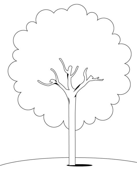 printable tree template google sogning arvore  colorir