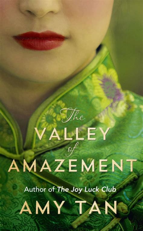 review  valley  amazement  amy tan amy tan books  joy