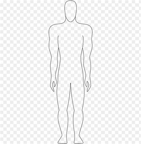 body outline clipart transparent background   clipart images