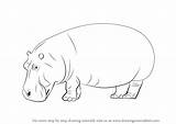 Draw Hippo Hippopotamus Drawing Step Drawings Animals Wild Learn Paintingvalley Tutorials sketch template