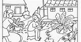 Mewarnai Berkebun Royong Sketsa Gotong Colouring Mewarna sketch template