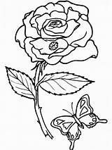 Coloring Pages Printable Rose Roses Kids Color Flower Print Flowers Sheets Book Coloriage Printables Adult Imprimer Garden sketch template