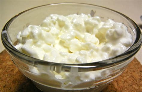 finding joy   journey food friday  power  cottage cheese