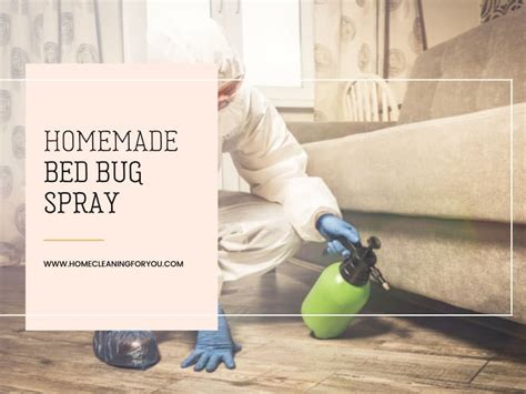 Homemade Bed Bug Spray The Only Recipe You Will Ever Need 2023
