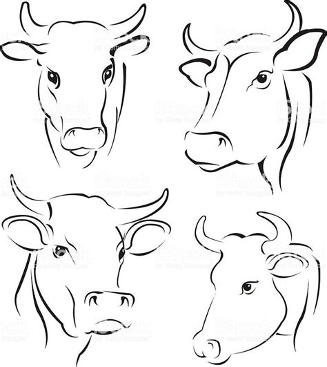 vector illustration  simple cows  illustration  art animal