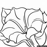 Georgia Coloring Pages Keeffe Flower Okeefe Pastel Pottery 3rd Grade Paintings Space Painting Designs sketch template