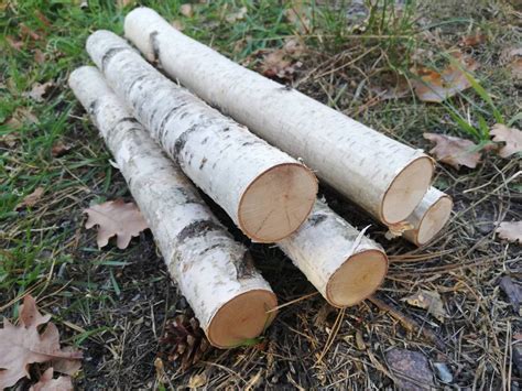 natural wood logs wooden logs logs craft supplies wood etsy