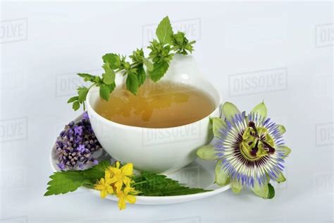 Herbal Tea And Ingredients Lemon Balm Passion Flower St John S Wort