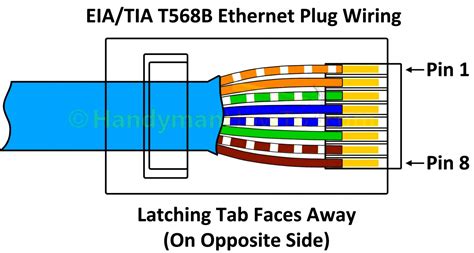 cat  wiring diagram  wall plates easy wiring
