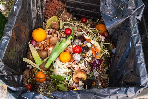 repurposing food waste  alternative building materials architect magazine