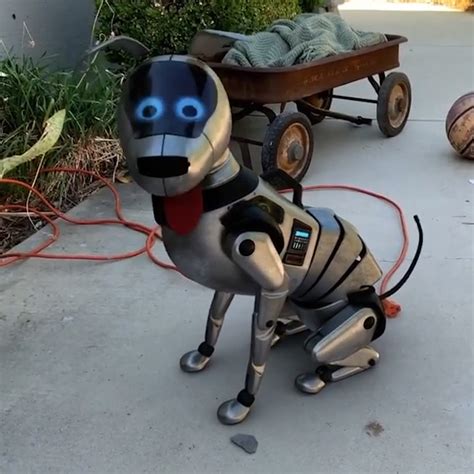 mysterious robot dog   los angeles  instagram user