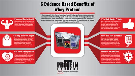 Whey Protein Infographic Proteinfactory