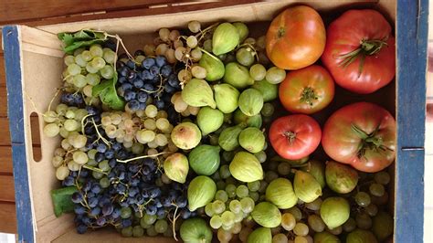 fresh fruit france food  photo  pixabay