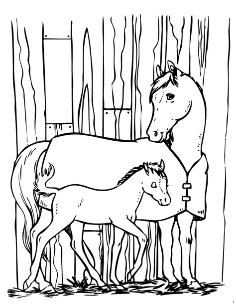 horse  pony coloring pages coloring home