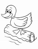 Coloring Pages Duckling Cartoon Duck Baby Library Clipart Colour Drawings Cute sketch template