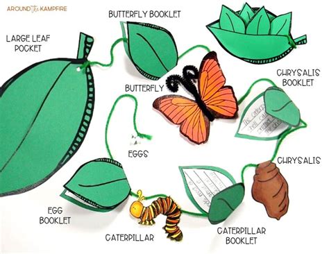 butterfly life cycle activities  printables