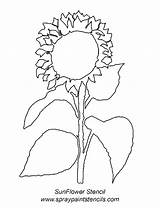 Sunflower Template Outline Printable Flower Flowers Outlines Coloring Stencils Clipart Simple Templates Stencil Library Popular Gogh Van Coloringhome sketch template