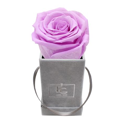 flowerbox in velvet gray mit haltbaren rosen emmie gray