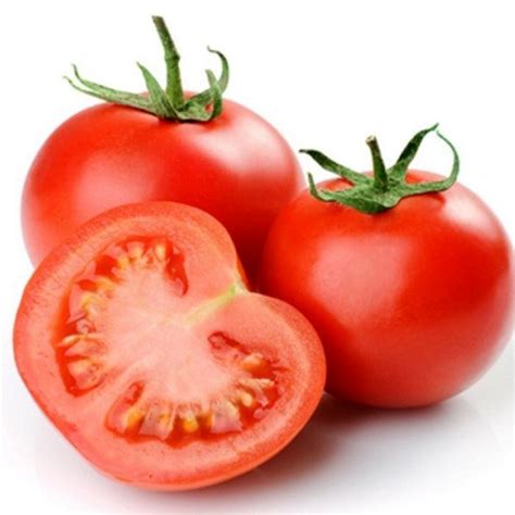 manual de tomate organico en invernaderopdf libros  manuales de agronomia