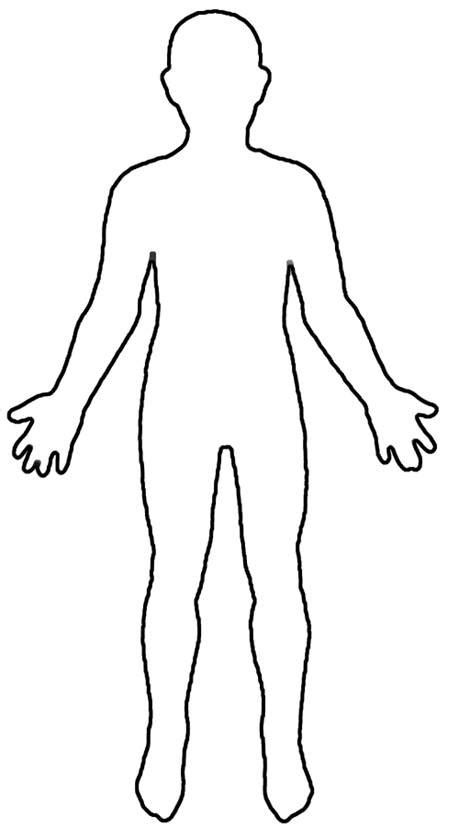 outline  female body clipartsco