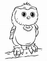 Owl Coloring Pages Baby Printable Cute Owls Cartoon Templates Print Kids Template Clipart Sheets Drawing Colouring Spectacled Animal Babies Cliparts sketch template