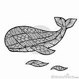 Whale Zentangle Vector Stylized Sea Background Collection sketch template