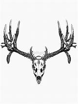 Deer Skull Mule Drawing Redbubble Monster Shirt Getdrawings sketch template