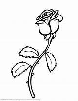 Outline Rose Use Clipartix Personal Projects Designs These sketch template