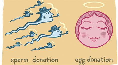 sperm donors and egg donors findings yale alumni magazine