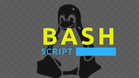 bash script linux