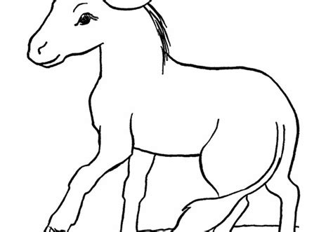 printable donkey coloring pages  kids afvere