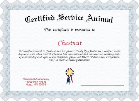 service dog certificate template certificate templates training